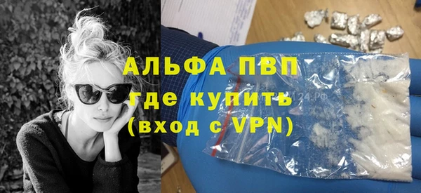прущие грибы Сатка