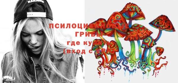 дурь Семилуки