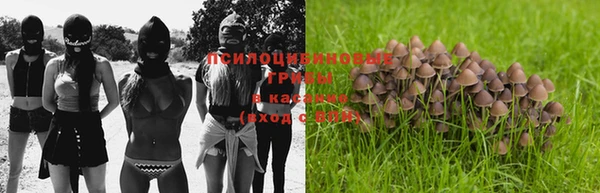 прущий лед Семёнов