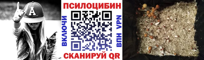 Псилоцибиновые грибы Magic Shrooms  Купить  Зеленокумск 