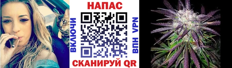 Купить закладки  Зеленокумск  Конопля конопля 